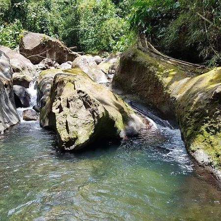 Maison La Voute Plage A 50M Et Riviere A Proximite Vieux-Habitants Esterno foto