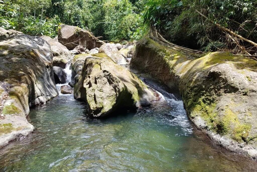 Maison La Voute Plage A 50M Et Riviere A Proximite Vieux-Habitants Esterno foto