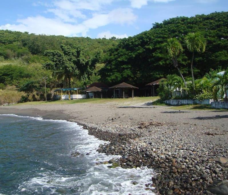Maison La Voute Plage A 50M Et Riviere A Proximite Vieux-Habitants Esterno foto